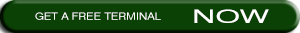 Free a terminal